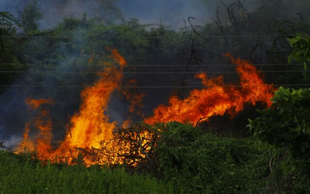 La peor señal de los incendios en España no es que ardan los montes: es que el fuego se está comiendo los cultivos