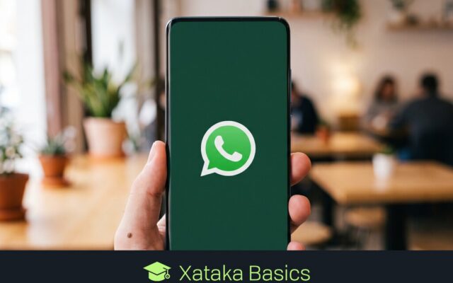 Cómo recuperar mensajes borrados de WhatsApp en Android y iPhone