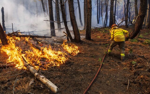 Los expertos urgen a alcanzar un Pacto de Estado contra incendios: “No es cuestión de ser de derechas o de izquierdas, nuestro futuro depende de ese acuerdo”