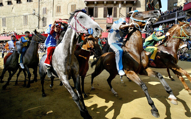 El Palio de Siena por dentro: “Se nace en una ‘contrada’ y solo se sale con la muerte”