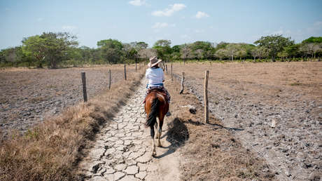Advierten que El Niño romperá récords históricos en un país latinoamericano