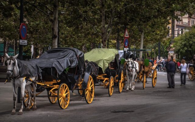 Una inspección de trabajo analizó los papeles de 98 cocheros de Sevilla. Solo uno tenía los papeles en regla