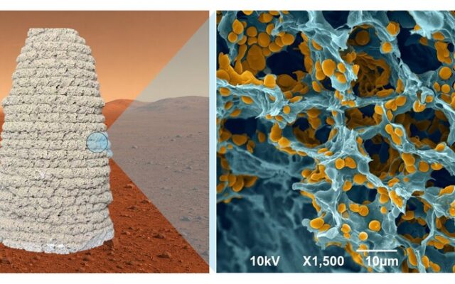 Necesitamos construir casas en Marte sin llevar ladrillos desde la Tierra: la solución que proponen unos científicos es gelatina y levadura