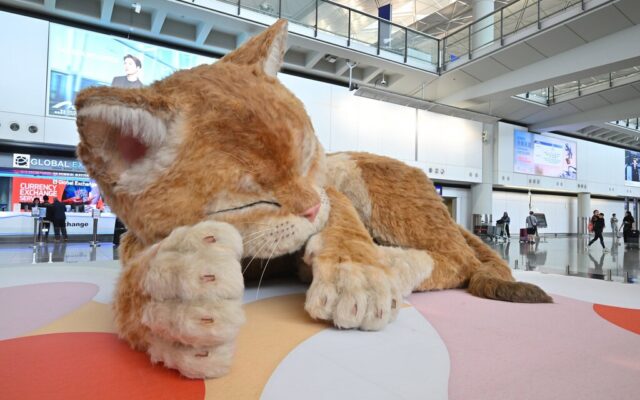 Hong Kong tiene algo que muchos aeropuertos querrían para sí. No es una nueva terminal: es un gato gigante interactivo
