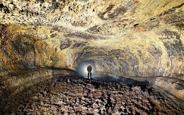 Bajo Tenerife hay un mundo que lleva 27.000 años aislado: dentro de esta cueva viven 190 especies