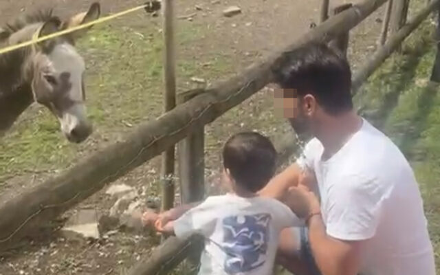 Una gestante subrogada de México, condenada a pagar una pensión de alimentos al niño que tuvo para un español