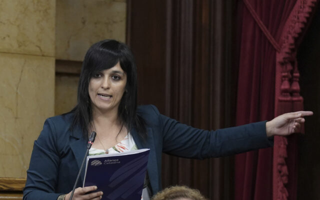 El independentismo llega a la Diada enfrentado por Aliança y la incertidumbre del regreso de Puigdemont