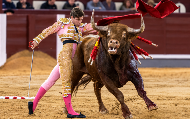 Christian Parejo, la forja de yunque de un torero criado entre mujeres: del exilio en Francia a la revelación del verano en Madrid