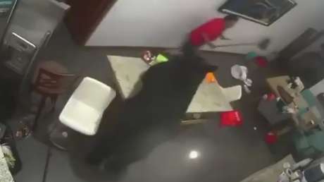 VIDEO: Justo lo que NO se debe hacer al encontrarse con un oso en tu casa