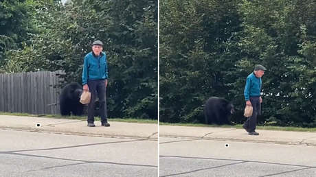 “Justo detrás de ti”: la reacción de un anciano ante un oso a sus espaldas no tiene precio (VIDEO)
