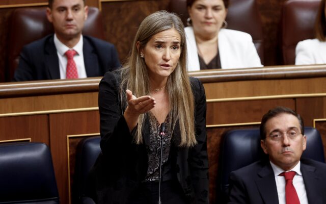 El plan para desarrollar las redes eléctricas en alta tensión incluye inversiones de 17.000 millones hasta 2030